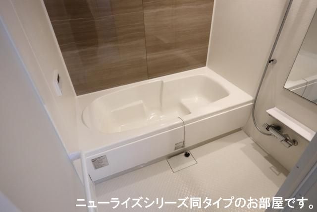 yoXz@